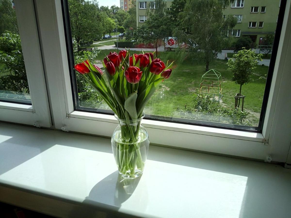 Apartament Usmiech Plock Luaran gambar