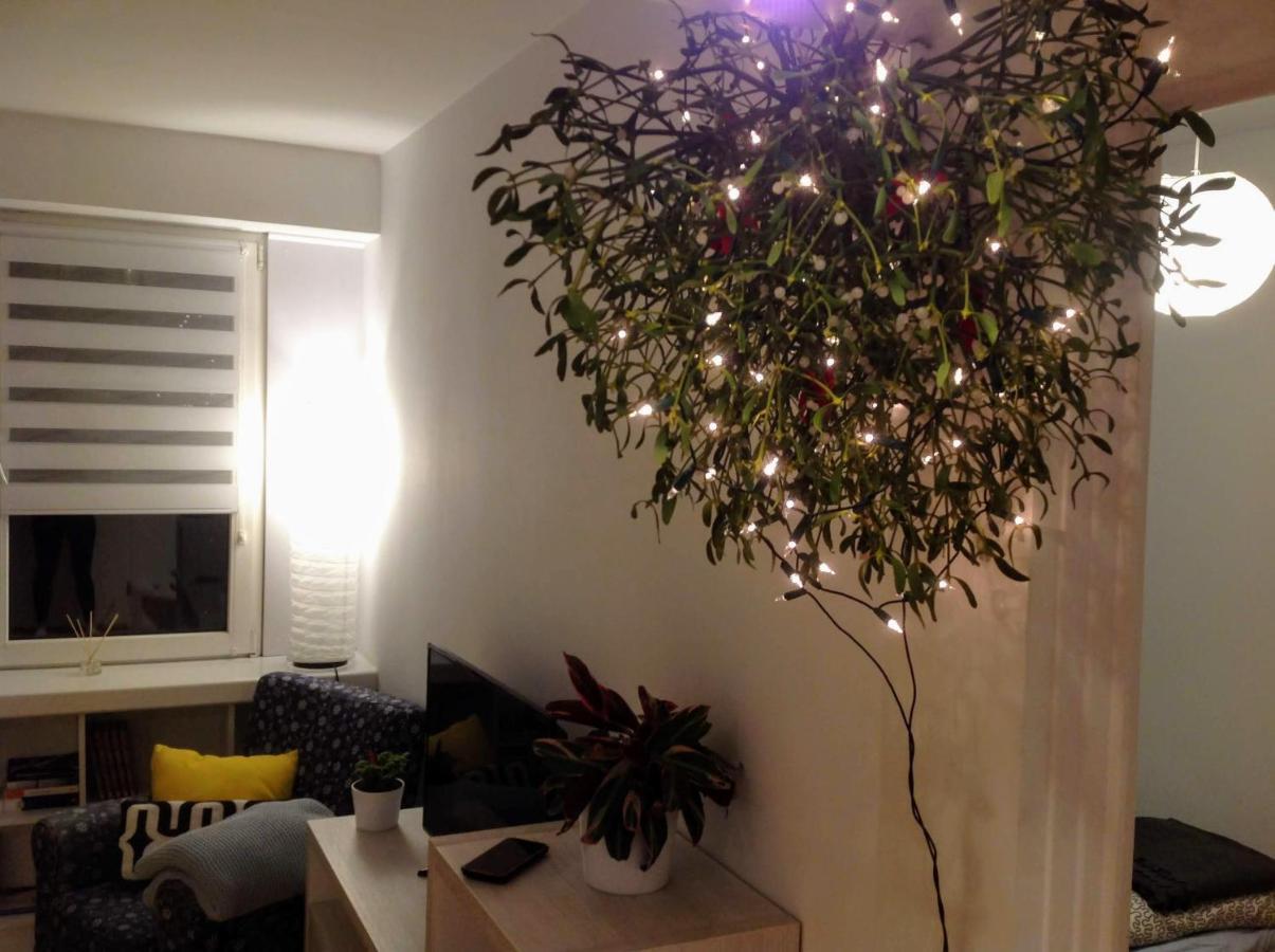 Apartament Usmiech Plock Luaran gambar